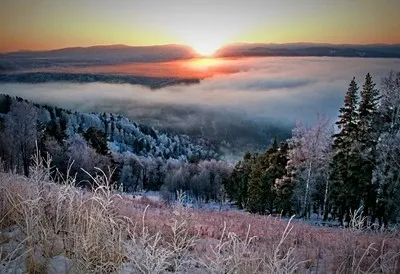 Белокуриха зимой