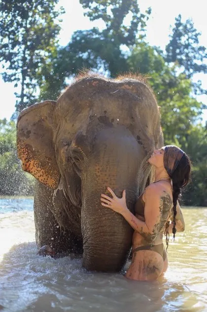 Woman with elephant in a river near Chiang Mai
