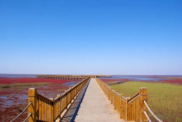 Красный пляж в Китае