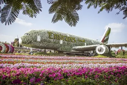 Парк Miracle Garden в Дубае
