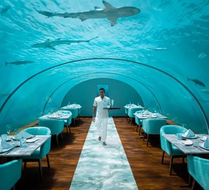 Ужин в Conrad Maldives